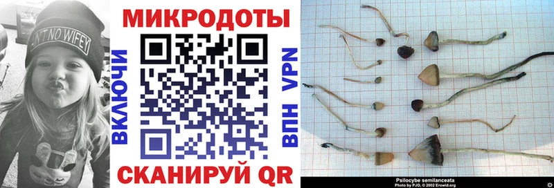 Галлюциногенные грибы Magic Shrooms Заречный